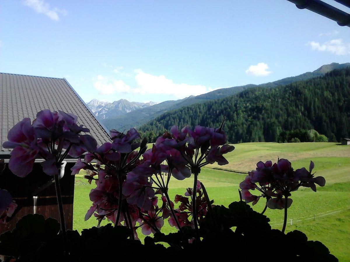 Pension Anderlehof Sankt Lorenzen im Lesachtal 외부 사진